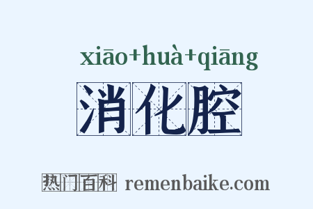 消化腔是什么意思的图片